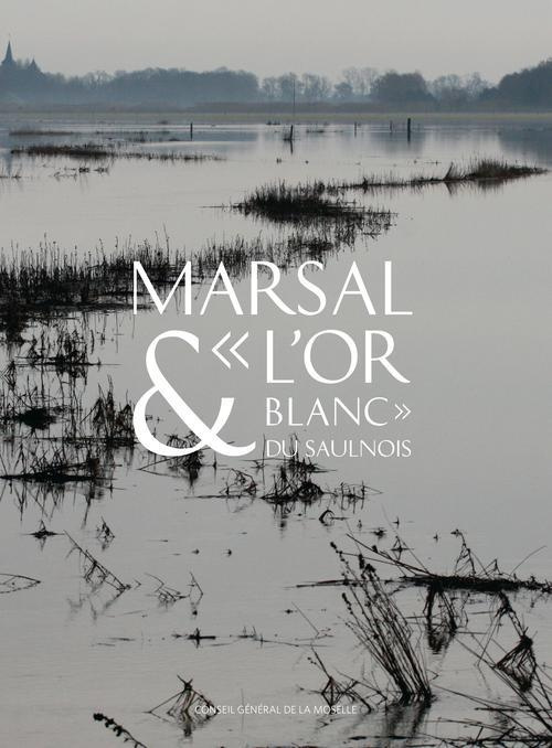 Marsal & "l'or blanc" du Saulnois. Le musée départemental du sel de Marsal