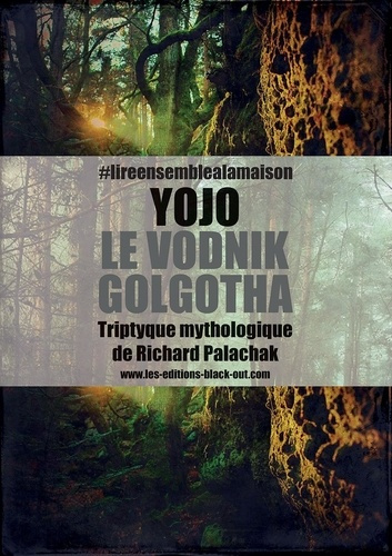 Yojo (livre audio sur cle usb 32 gb)