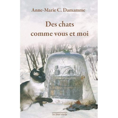 Des chats comme vous et moi