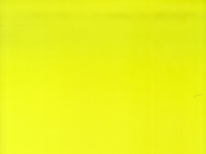 Martine Damas, la vision du volume en couleurs