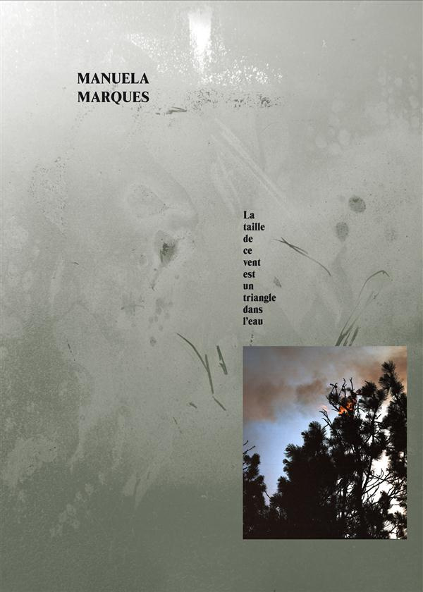 La taille de ce vent est un triangle dans l'eau