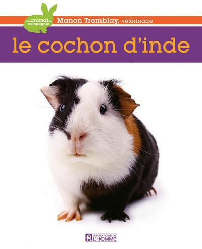 Le cochon d'Inde