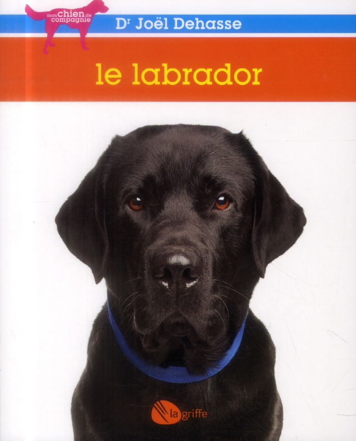 Le labrador