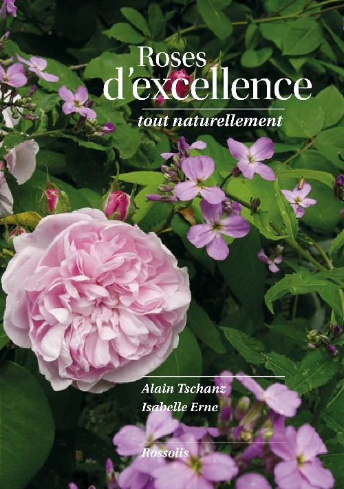 ROSES D EXCELLENCE TOUT NATURELLEMENT