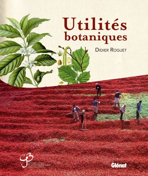 Utilités botaniques
