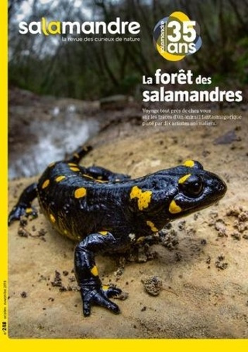 Salamandre N° 248, octobre-novembre 2018 : La forêt des salamandres