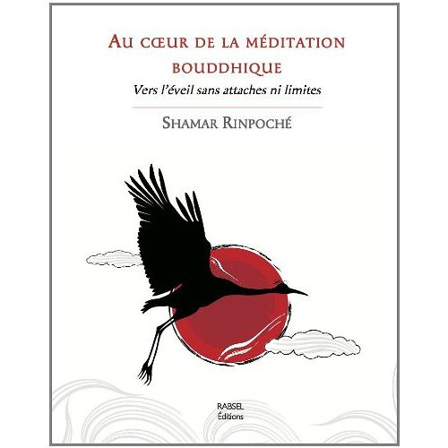 Au coeur de la méditation bouddhique. Vers l'Eveil sans attaches ni limites