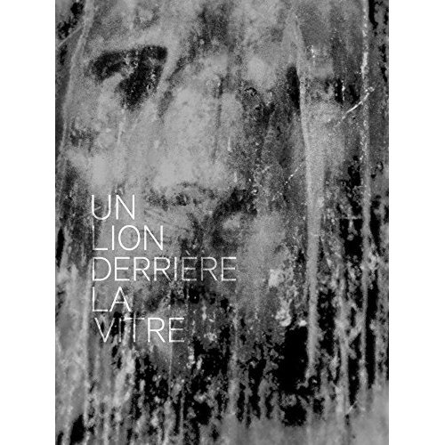 Un lion derrière la vitre. Edition bilingue français-anglais. Avec 1 CD audio
