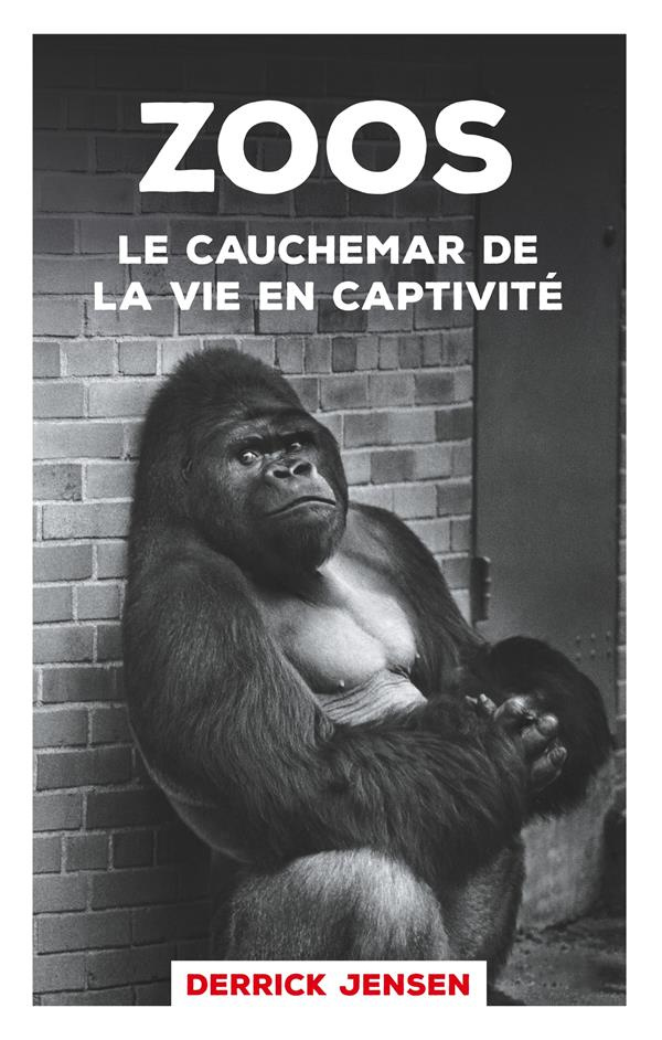 Zoos, le cauchemar de la vie en captivité