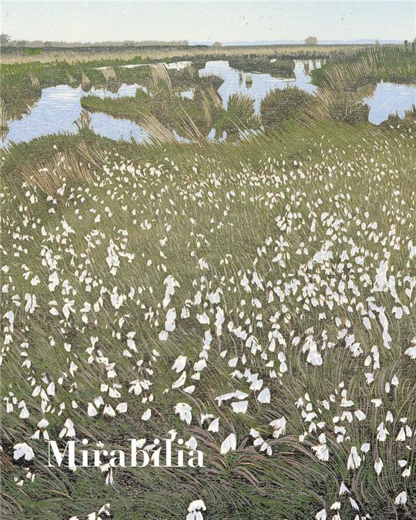 Mirabilia N° 18, été 2023 : L'espérance