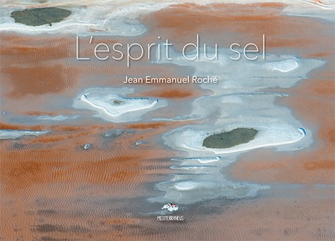 L'esprit du sel