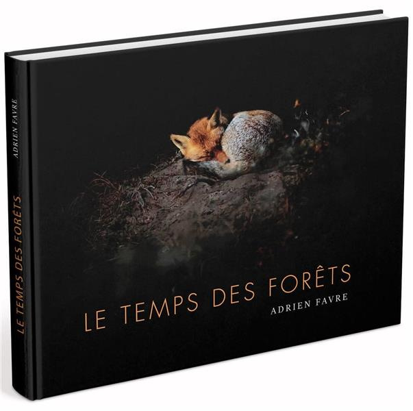 Le temps des forêts