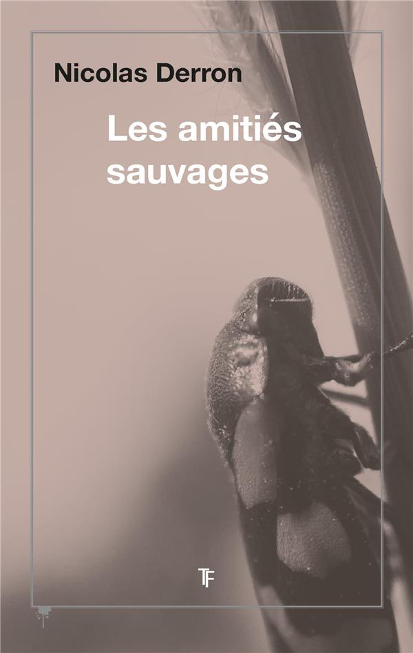 Les amitiés sauvages