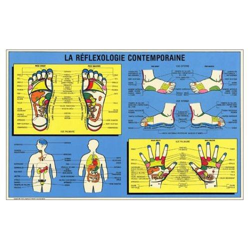 REFLEXOLOGIE - POSTER MOYEN FORMAT