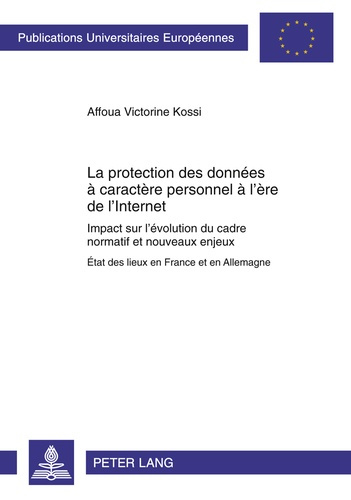 La protection des données à caractère personnel à l'ère de l'Internet : impact sur l'évolution du ca