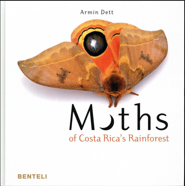 MOTHS OF COSTA RICA S RAINFOREST