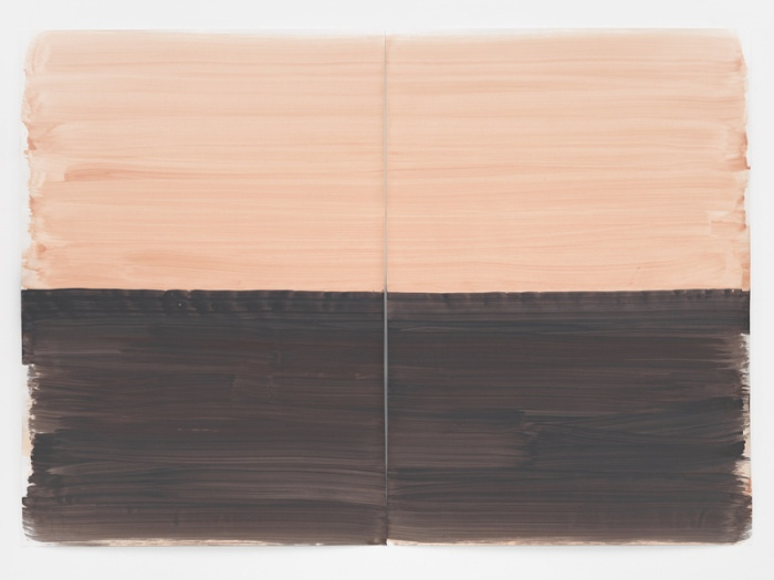 SILVIA BACHLI : QUE L'UN SOIT DEVENU L'AUTRE. QUI EST QUI ? - CAT. KUNST MUSEUM WINTERTHUR