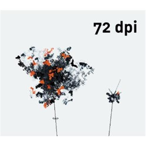 MIRON ZOWNIR RADICAL EYE /ANGLAIS/ALLEMAND