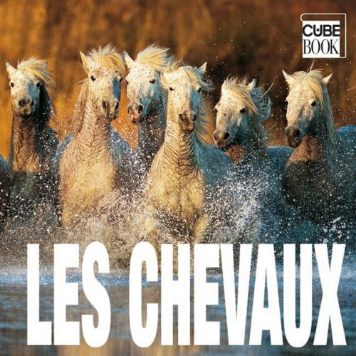 LES CHEVAUX