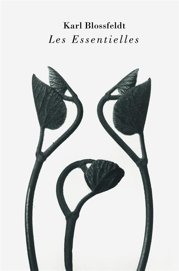 Karl Blossfeldt. Les Essentielles