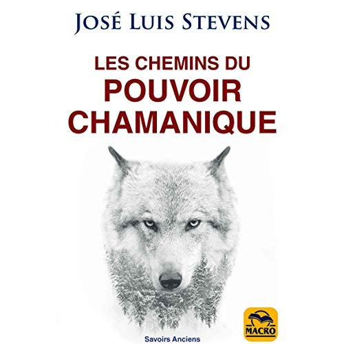 Les chemins du pouvoir chamanique