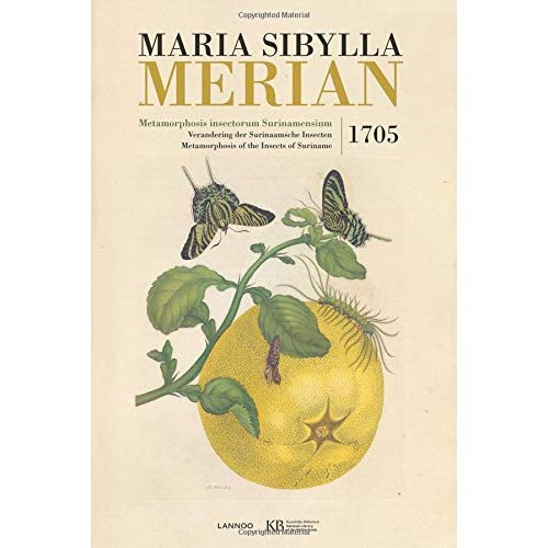 Maria Sibylla Merian Metamorphosis Insectorum /franCais/anglais/nEerlandais