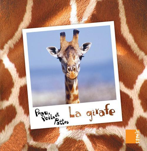 Peau, poils et pattes : La girafe