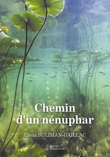 Chemin d'un nénuphar