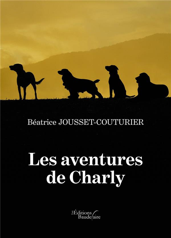 Les aventures de Charly