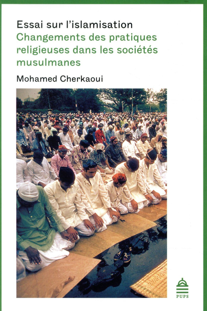 Essai sur l'islamisation. Changements des pratiques religieuses dans les sociétés musulmanes