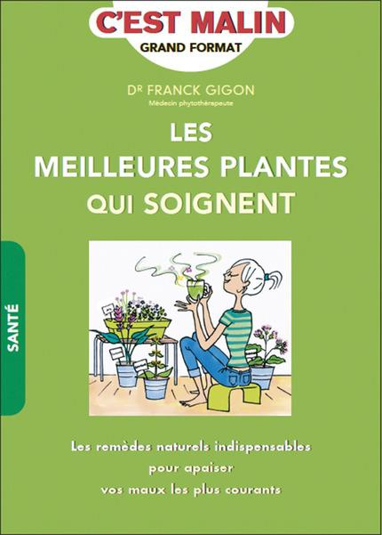 Les meilleures plantes qui soignent