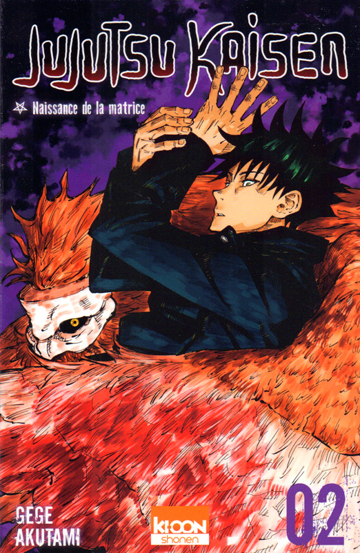 Jujutsu Kaisen Tome 2 : Naissance de la matrice