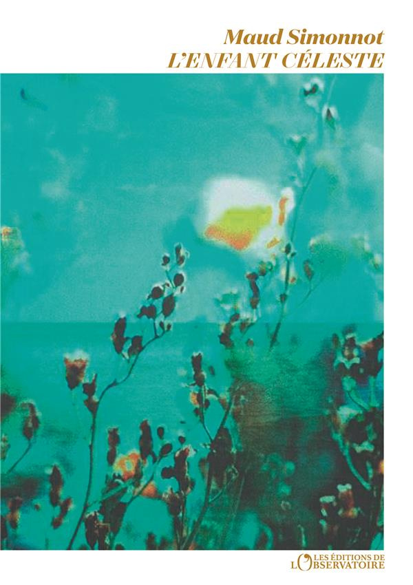 L'Enfant céleste