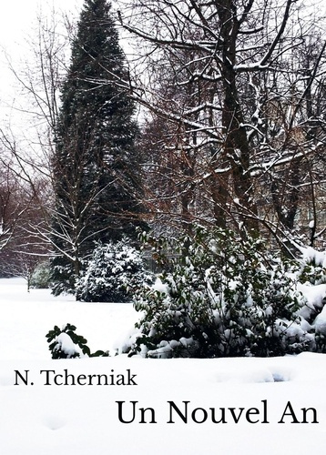 Un nouvel an