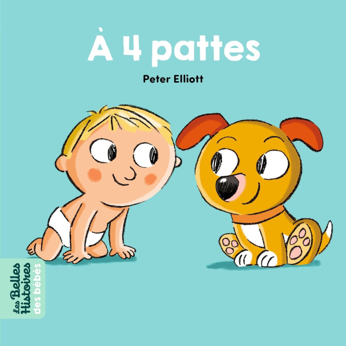 A 4 pattes