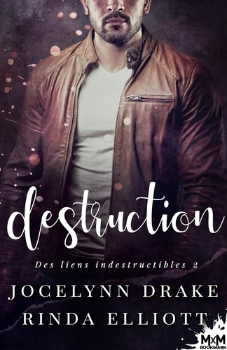Des liens indestructibles Tome 2 : Destruction