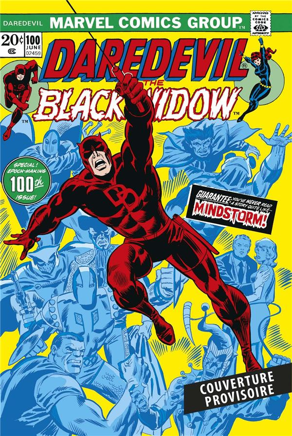 Daredevil, l'intégrale : 1973-1974