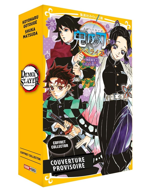 Demon Slayer : Coffret en 2 volumes : Demon slayer tome 15 et Demon slayer roman tome 6, L'assaut de