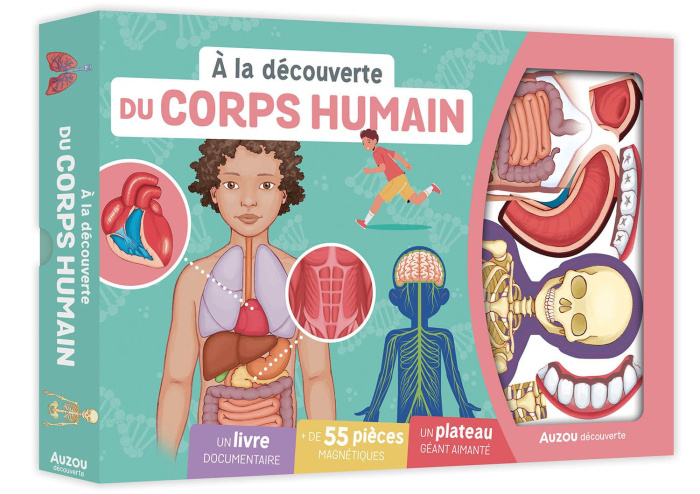A la découverte du corps humain. Coffret avec 1 livre documentaire,   de 55 pièces magnétiques et 1