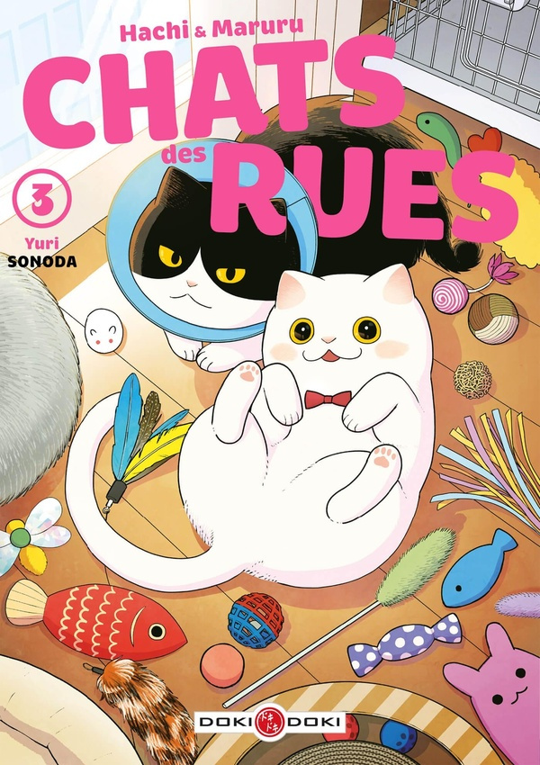 Chats des rues - Hachi & Maruru Tome 3