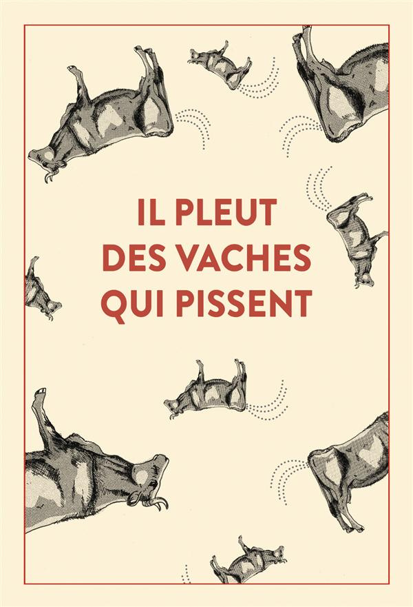 Il pleut des vaches qui pissent. 300 accidents d'expressions : une seule victime, la langue français