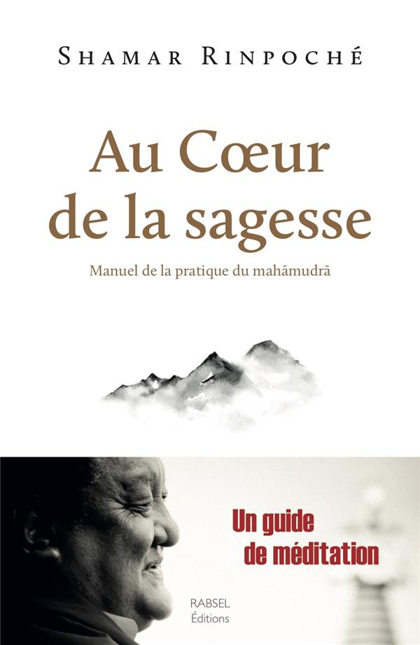 Au coeur de la sagesse. Manuel de la pratique du mahamudra