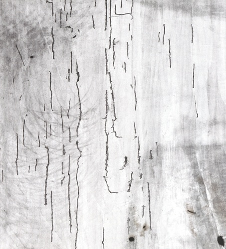 Marges. Edition bilingue français-anglais