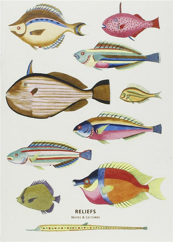 Carnet Curiosités des mers