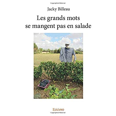 Billeau_Jacky-Les_grands_mots_se_mangent_pas_en_salade-9782334244985_0