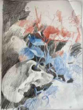 Daria_Schmitt-La_t_te_de_mort_venue_de_Su_de._Edition_sp_ciale_en_noir_blanc-9782808513104_0