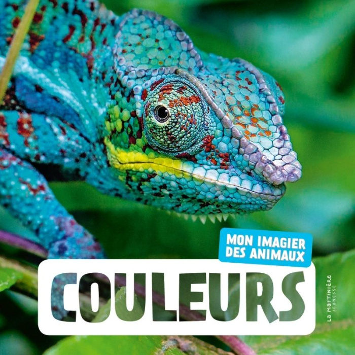 NATURAGENCY-Couleurs._Mon_imagier_des_animaux-9791040121831_0