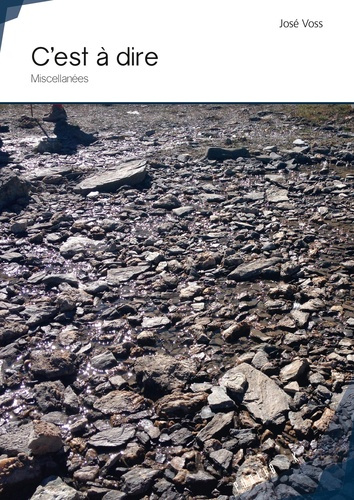 Voss_Jos_-C_est_dire-9782342161670_0