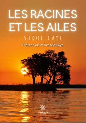 abdou-faye-les-racines-et-les-ailes_0