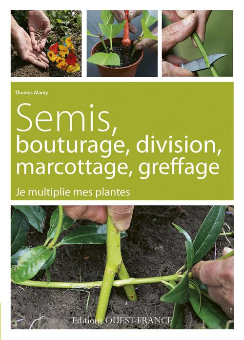 alamy-thomas-semis-bouturage-division-marcottage-greffage-je-multiplie-mes-plantes_0